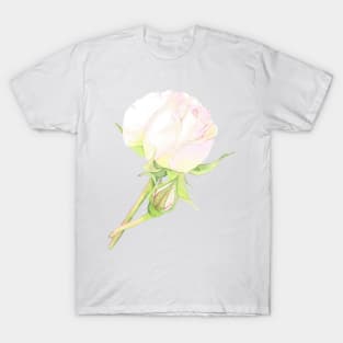 Evelyn Rose, floral watercolor T-Shirt